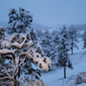 Meet your Posher, Cadence